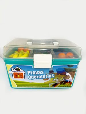 Kit De Provas Piagetianas (14 Provas Operatórias Caixa Plastica) S/cubo