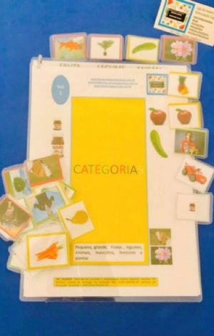 Categorias Vol 1 - Autismo