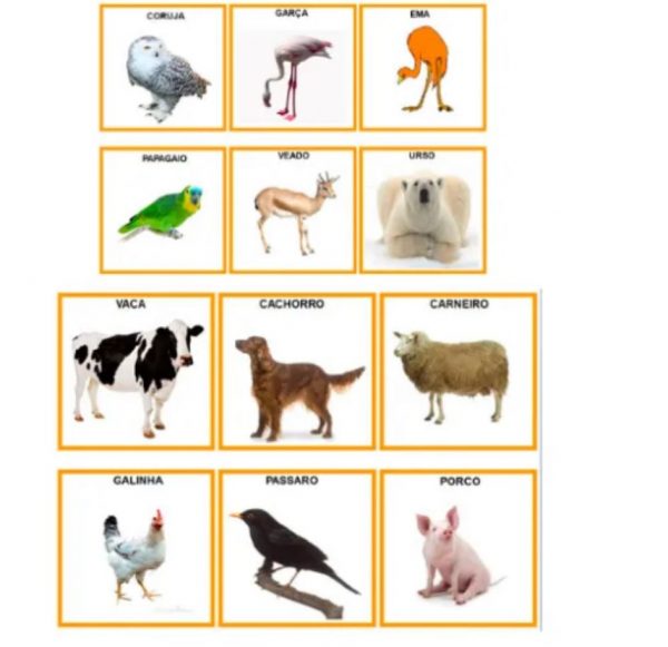 KIT ABA - imagens para comunicação e adequação - Image 5