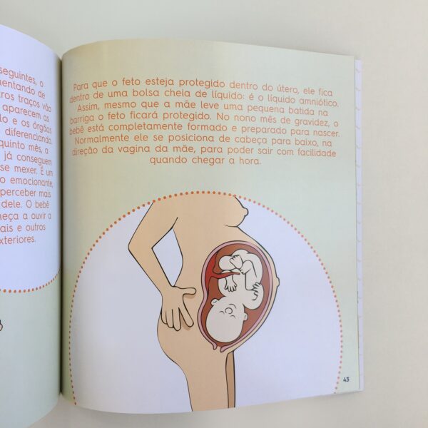 Tudo Explicadinho! - Livro - Image 2